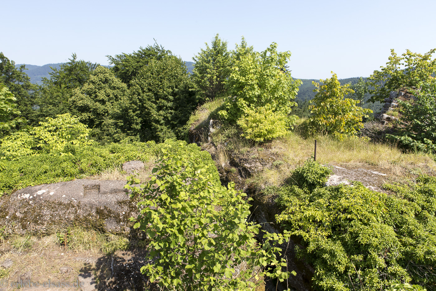 Burg Grand Ringelstein