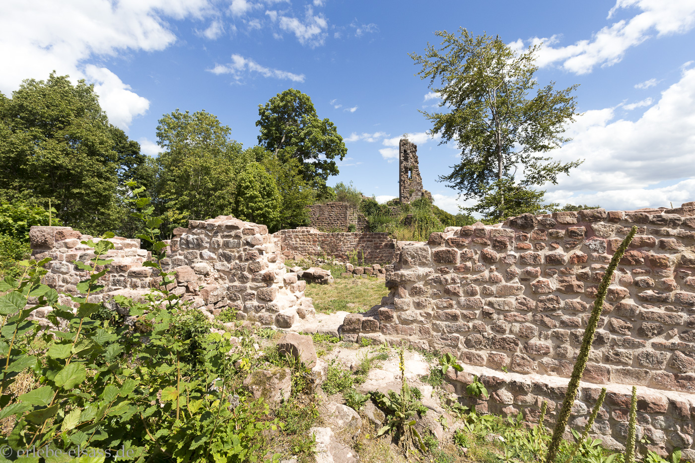 In der Burgruine Château de Guirbaden