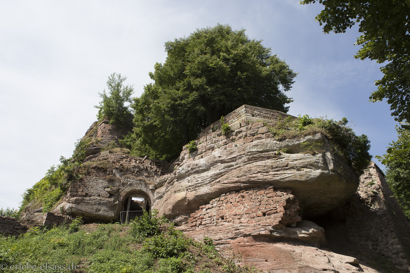 Château Haut-Barr oberhalb Saverne