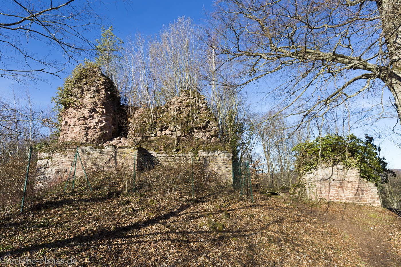 Château de Greifenstein bei Saverne