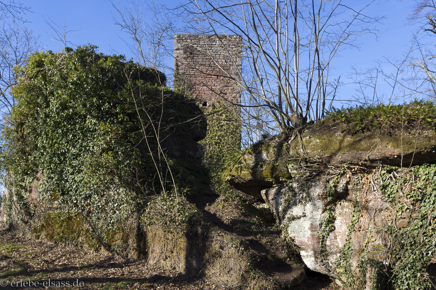 Château de Greifenstein