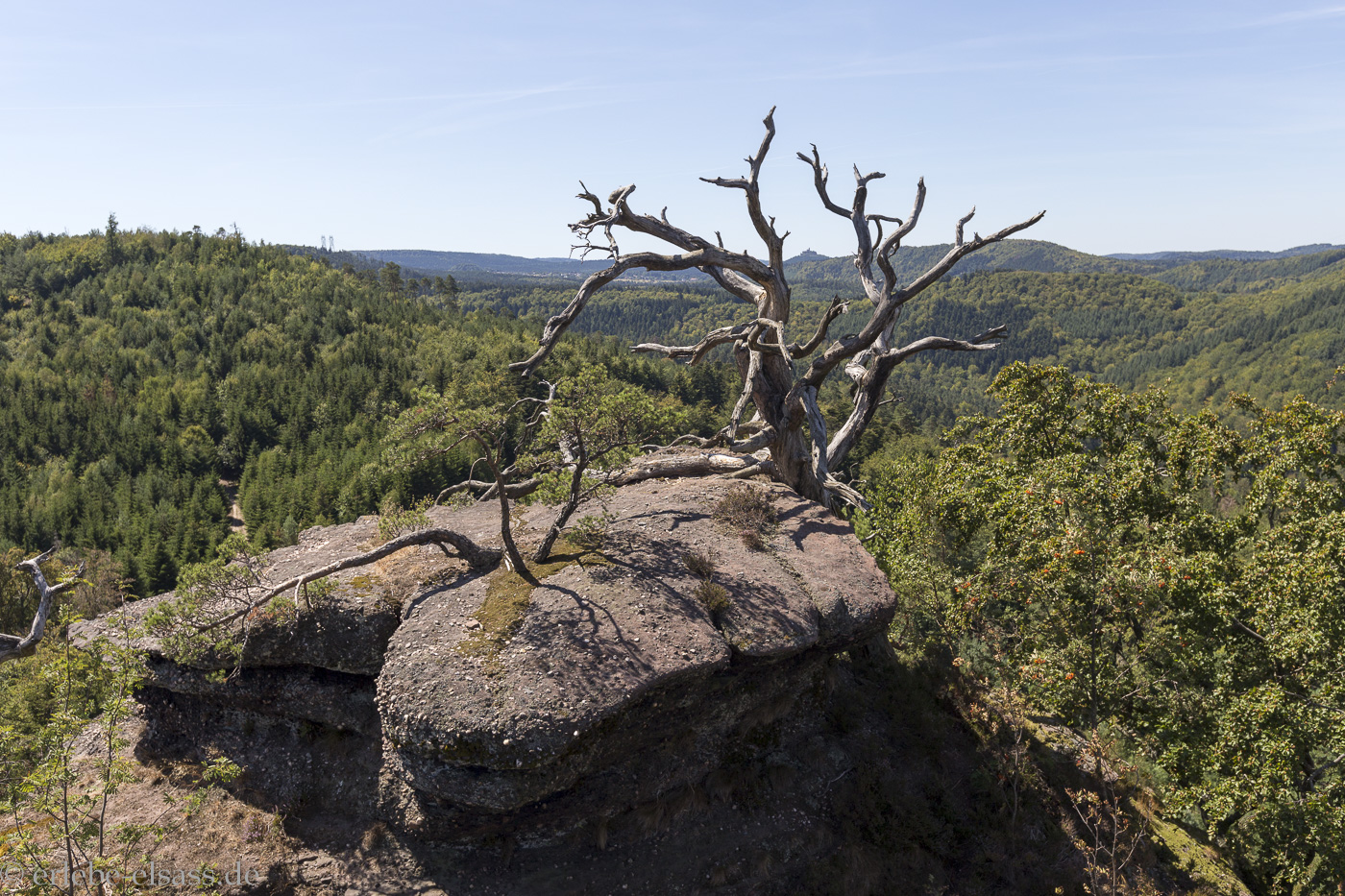 Krappenfels nahe dem Ochsenstein