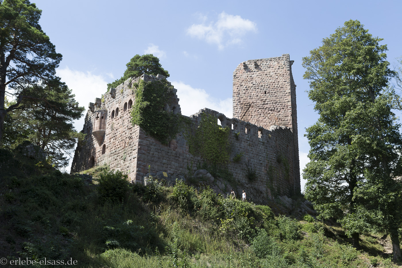 Burgruine Château de Landsberg im Elsass