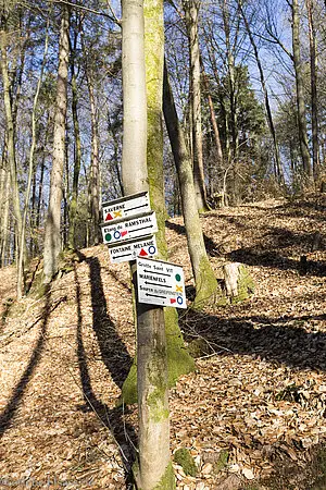 Wanderweg zur Burg Greifenstein