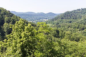 Aussicht von der Burg Wasigenstein