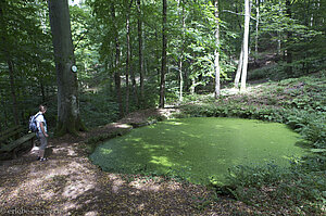 Teich der Fountaine Tonnelier Jacques