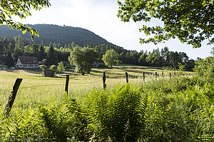 Col du Litschhof