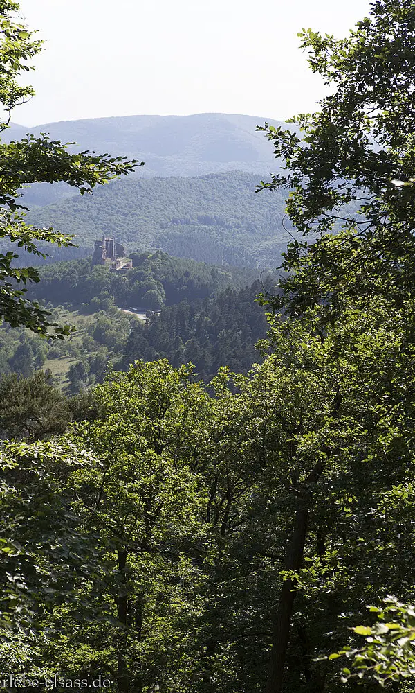 Burgruine Fleckenstein im Elsass