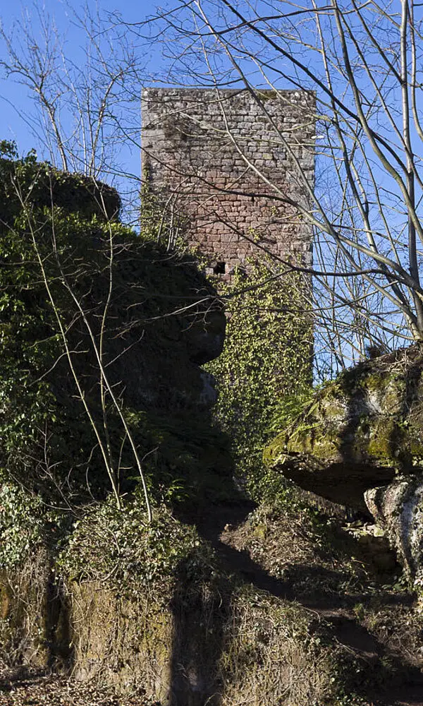 Château de Greifenstein