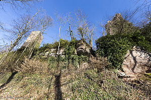 Burgberg vom Château de Greifenstein