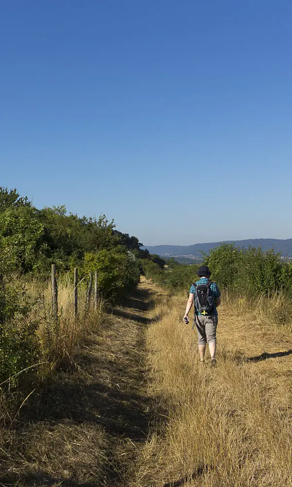 Wanderung von Bouxwiller auf den Bastberg