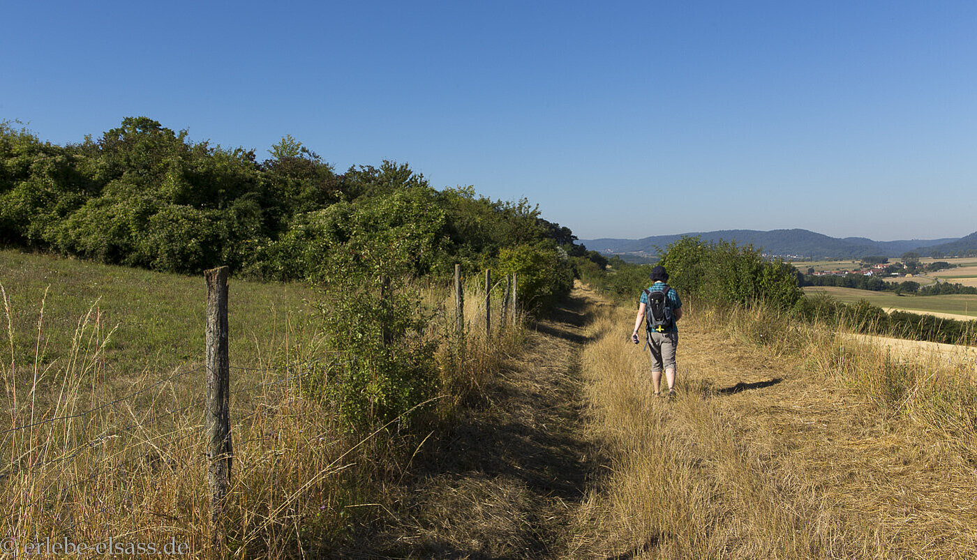 Wanderung von Bouxwiller auf den Bastberg