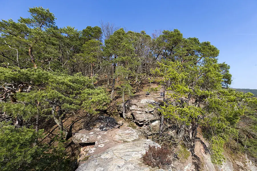 Wachtfelsen bei Obersteinbach