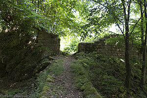 Ruine der Burg Grand Ringelstel 