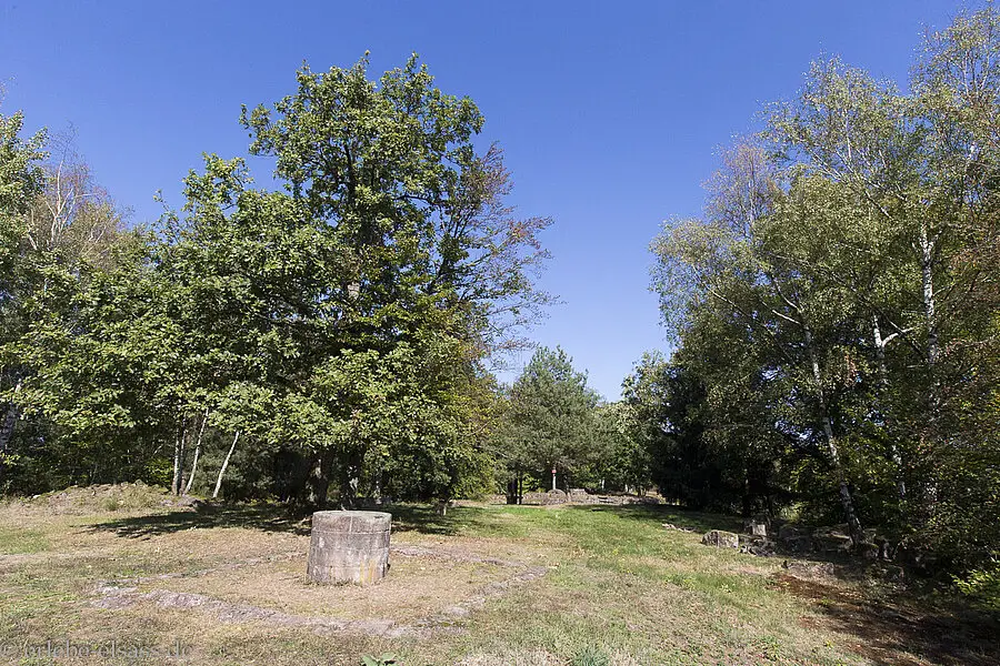 In der Burgruine Warthenberg-Daubenschlag