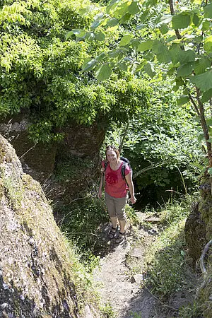 Aufstieg zur Burg Grand Ringelstein