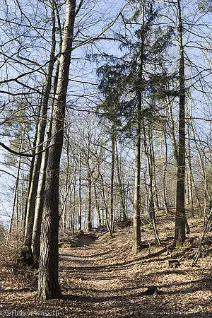 Elsässischer Burgenweg bei Greifenstein