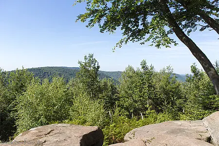 Aussicht vom Ziegenberg