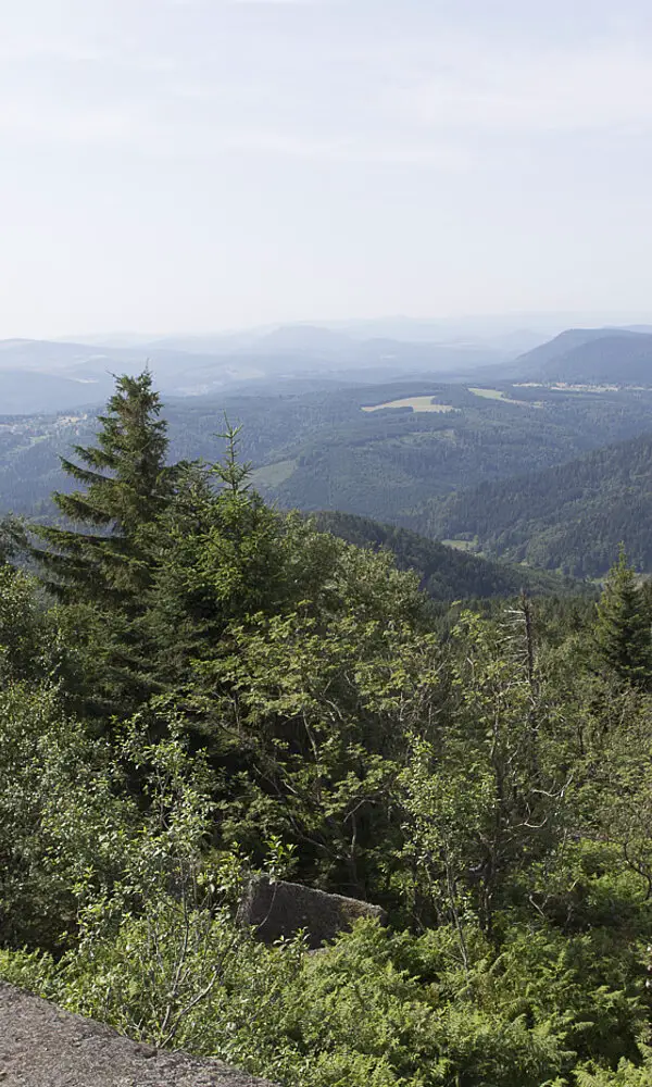 Wanderung auf den Donon