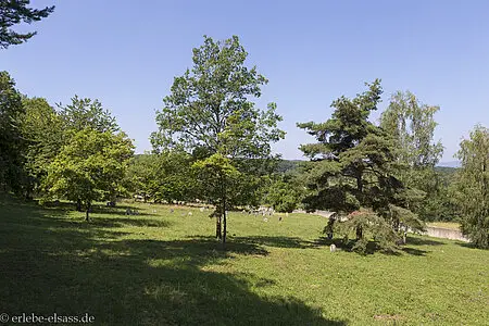 Jüdischer Friedhof bei Rosenwiller