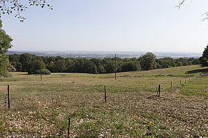 Landschaft bei Heiligenstein