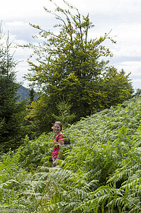 Wanderweg zwischen dem Großen und Kleinen Donon