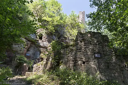 Burgruine Wineck