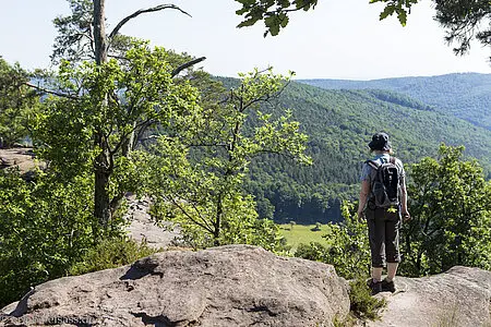 Wanderin auf dem Krappenfels