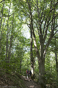 Wanderung ab Heiligenstein