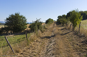 Geologischer Pfad am Bastberg