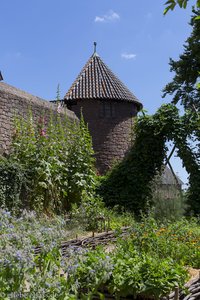 Mittelalterlicher Garten entlang der Festungsmauer der Hochkönigsburg