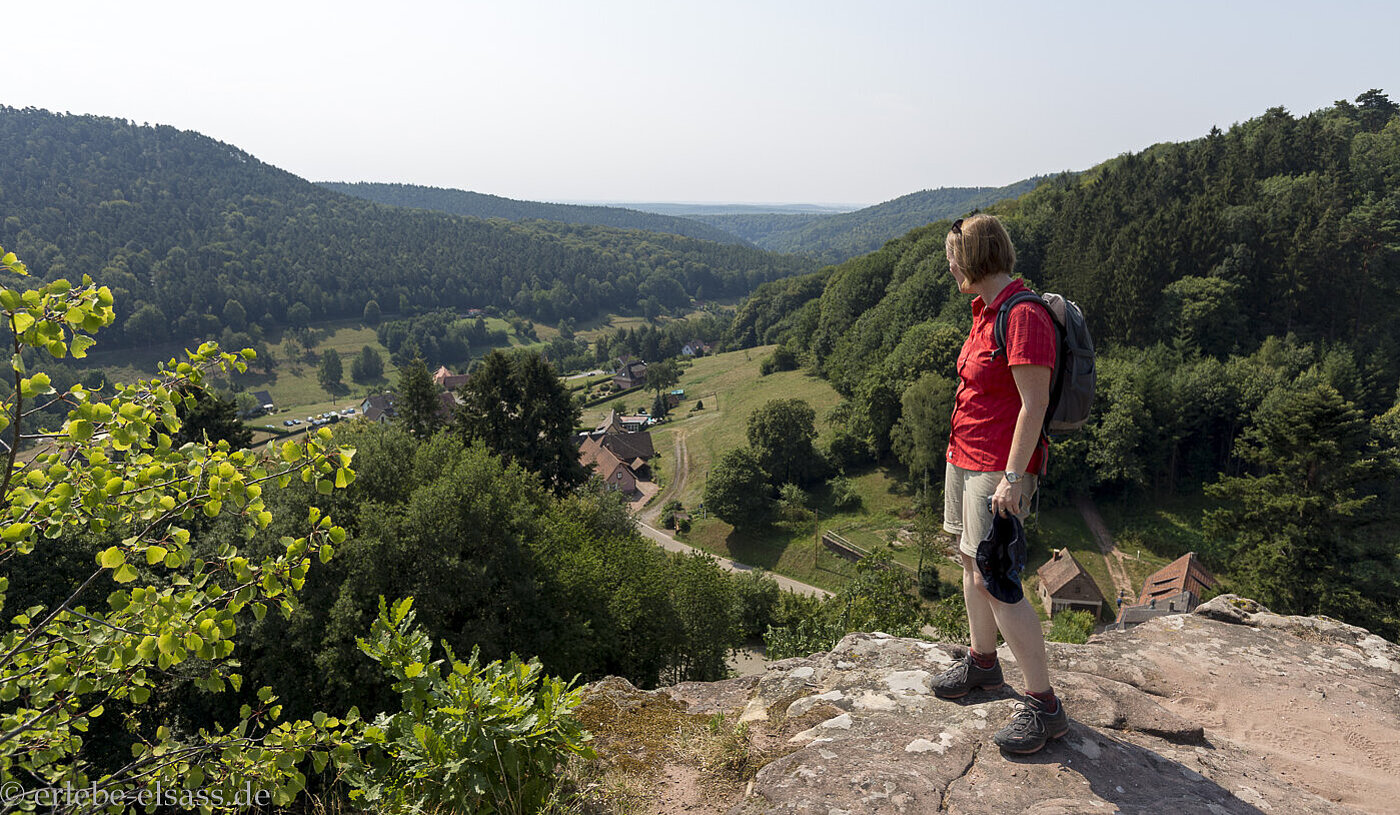 Aussicht vom Château Alt-Windstein