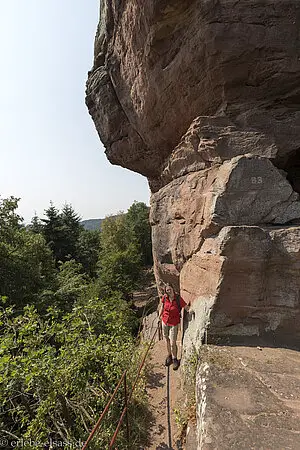 Auf der Burg Alt-Windstein