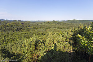 Aussicht vom Bayerischen Windstein